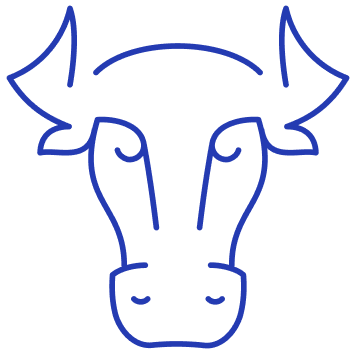 Семя высокопродуктивных быков производителей