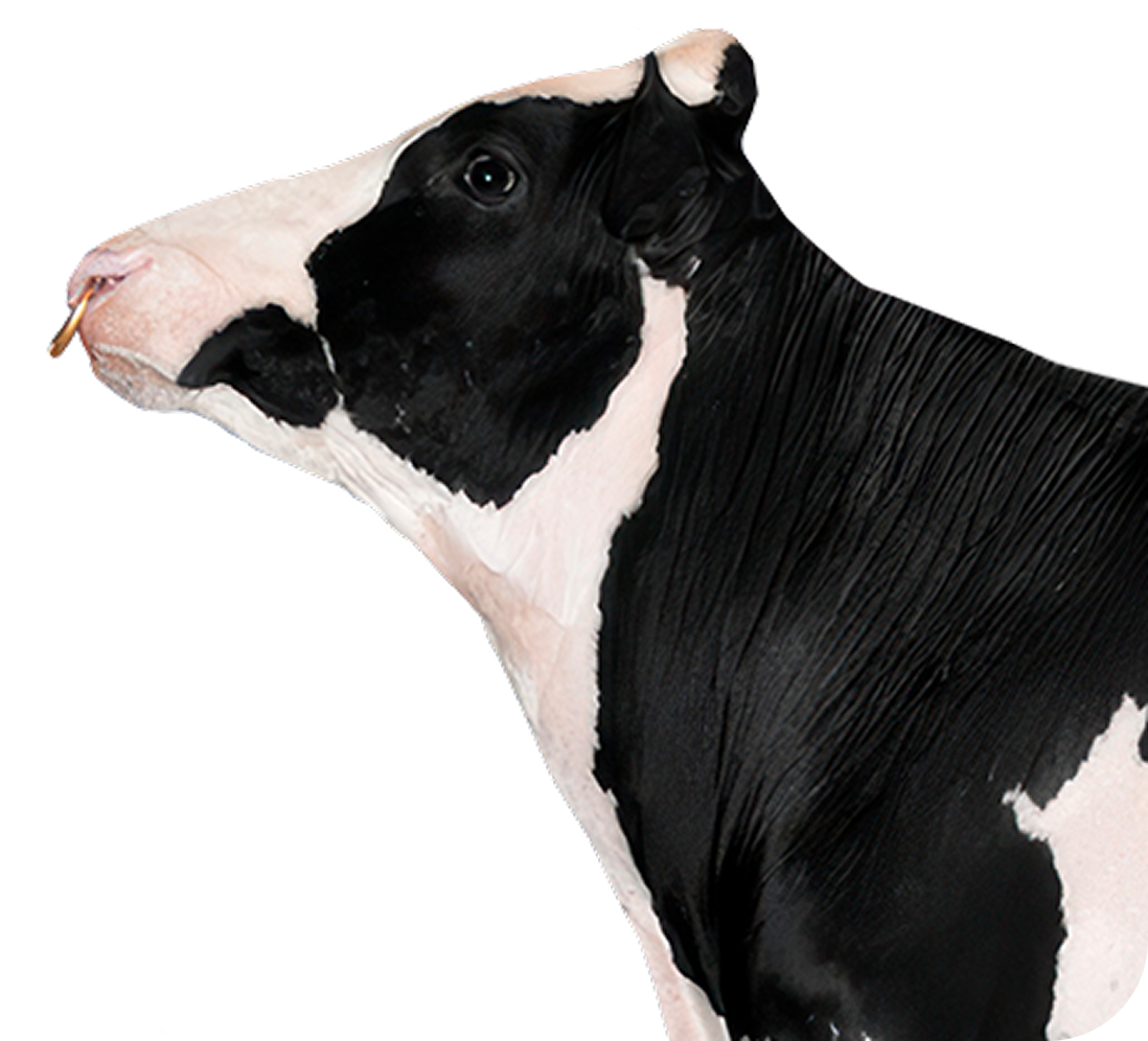 Приглашаем к&nbsp;сотрудничеству